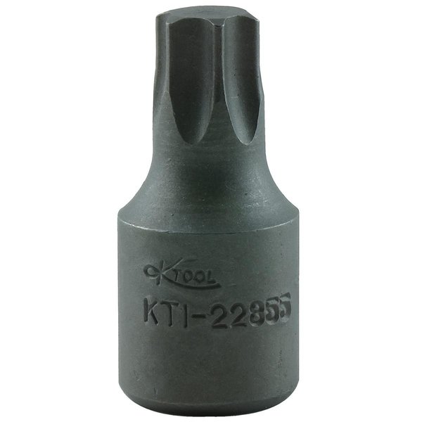 K-Tool International Torx Socket, 3/8", T55 KTI-22855